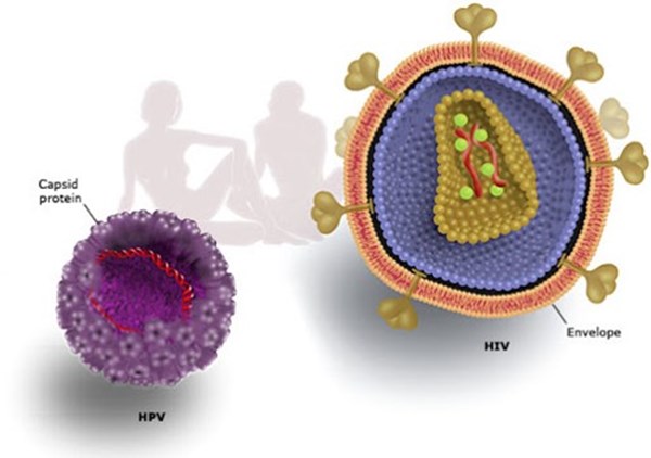 مجموعه HPV Real time PCR